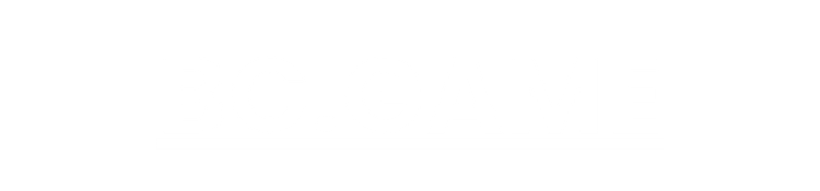 BC Game Login